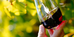 Wine class with pinot noir